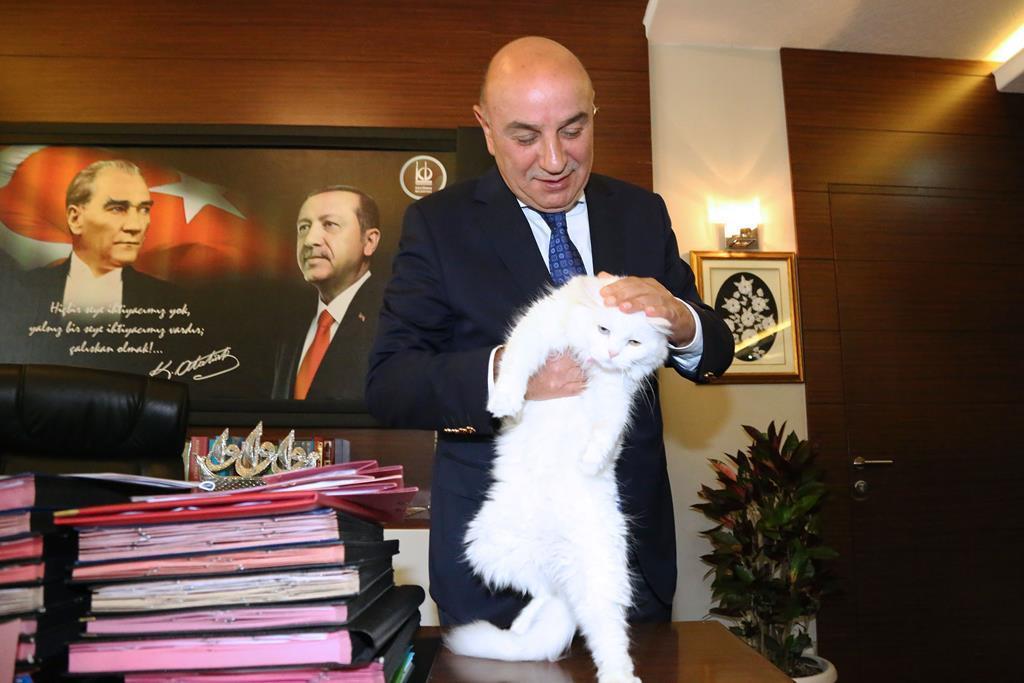 Ankara Haberleri Boncuk’un yeni evi belediye Yerel Haberler