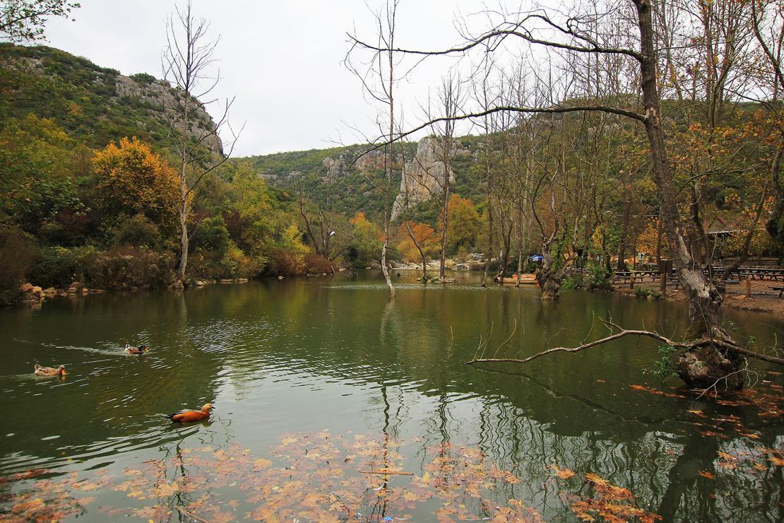 Sarı ve kızıl karışımı: Kocaeli Tabiat Parkları