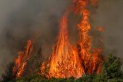 İzmirin 3 ilçesinde orman yangını