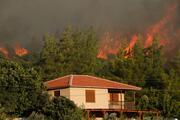 İzmirin 3 ilçesinde orman yangını