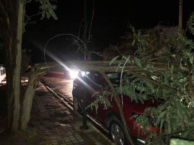 İzmirde üzerlerine yıldırım düşen baba ve kızı öldü... Kuzey Egeyi fırtına vurdu