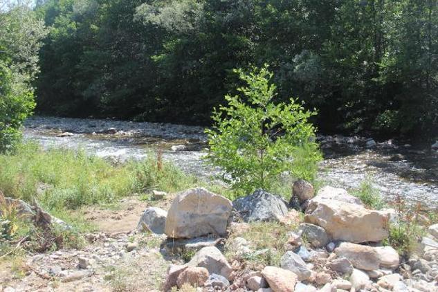 Bu köyde 120 kişi hastanelik oldu Her şey bir sancıyla başladı