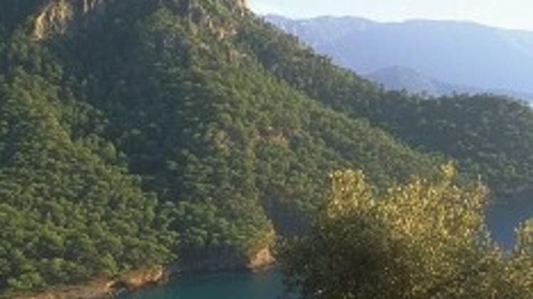 Dervişin dağından meditasyon koyuna