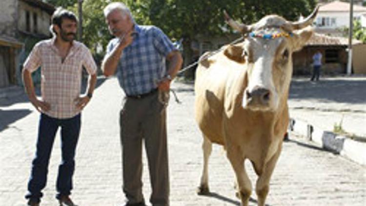 Başrollerde 'Sarı İnek'