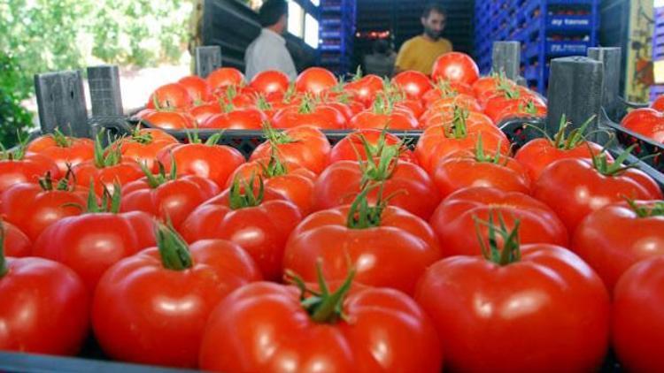 Rusya'dan Türkiye'ye iyi haber: Yasak gelecek hafta kalkıyor
