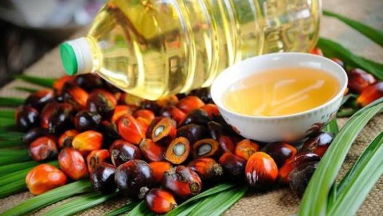 Tüketici palm yağı raporunu bekliyor