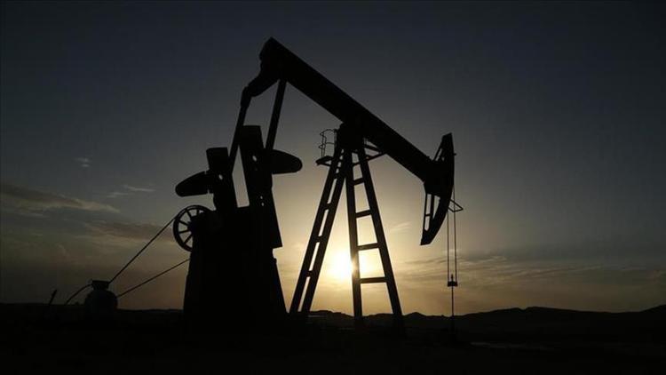 TPAO'ya 11 petrol arama ruhsatı verildi
