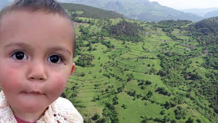 Araştırmalar genişletildi! Ekipler o ihtimale karşı taze kazılmış toprak aradı