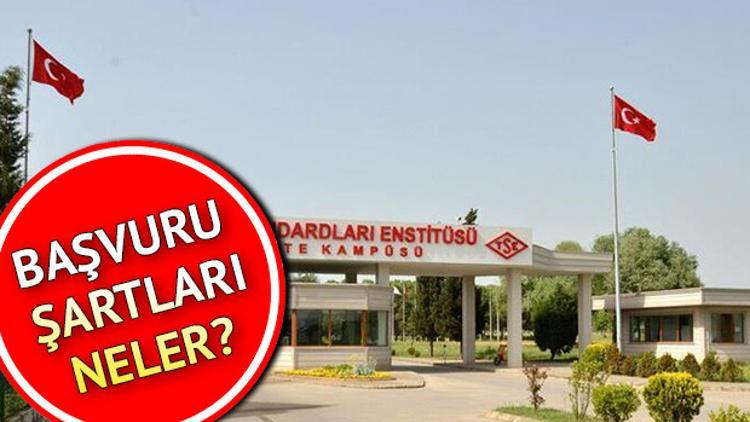 TSE 13 bilişim personeli alacak! Başvuru şartları neler?