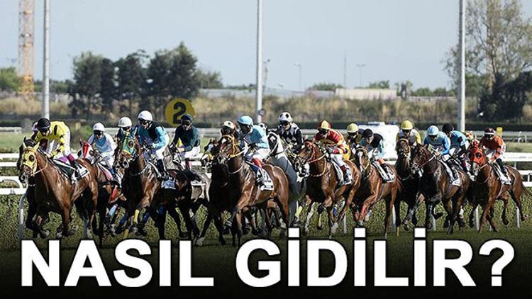 Veliefendi Hipodromu nerede? Veliefendi Hipodromu'na nasıl gidilir?