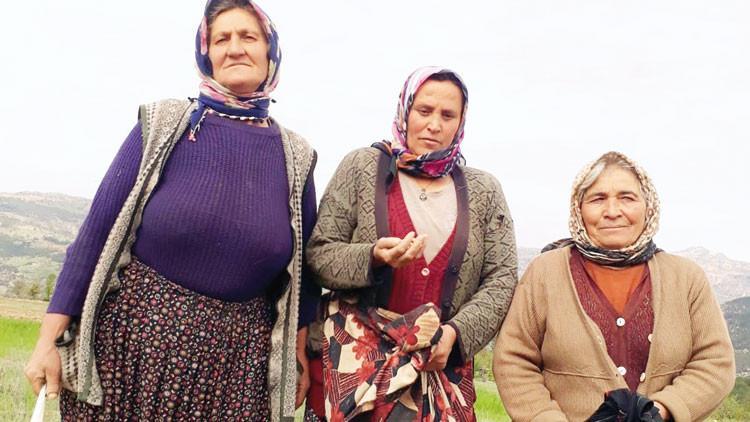 Çorak topraklardan öğrencilere burs çıkacak