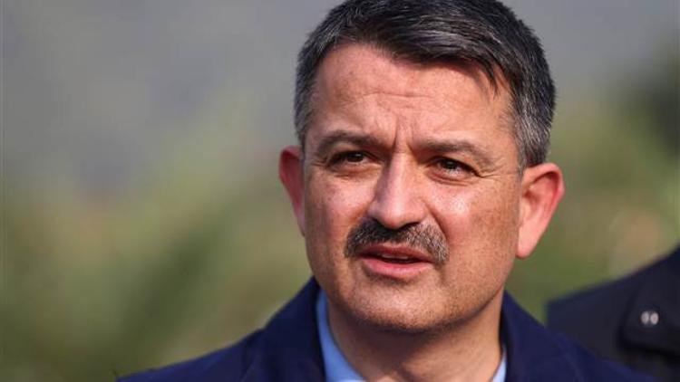 Muğla'daki orman yangınıyla ilgili son dakika açıklaması... Yangın kontrol altına alındı