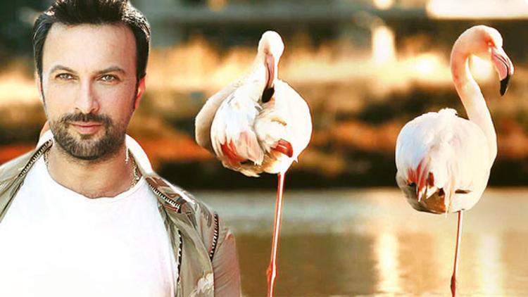 Tarkan’dan mesaj var
