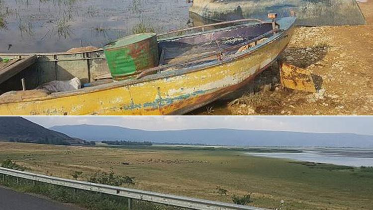 Çölleşme tehdidi! Koyunlara kaldı