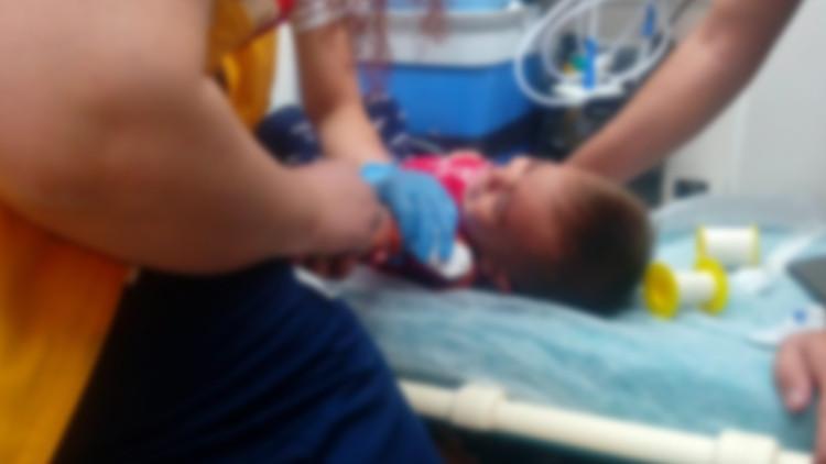 Şanlıurfa'da akrep alarmı