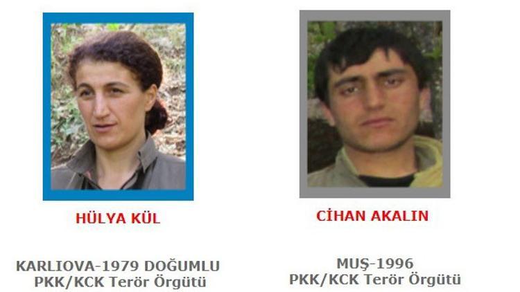 Son dakika... Bingöl'de mavi ve gri kategorideki teröristler etkisiz hale getirildi