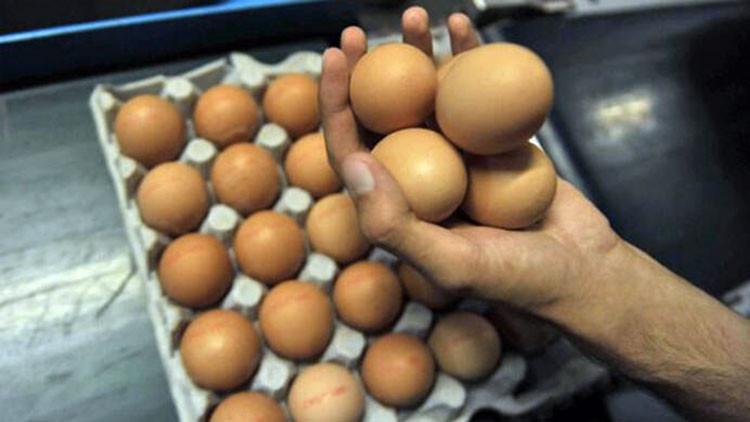 Belçika'da yumurtada dioksin skandalı!