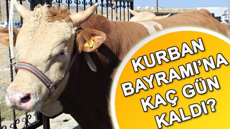 Kurban Bayramı ne zaman? Bayram tatili kaç gün olacak?