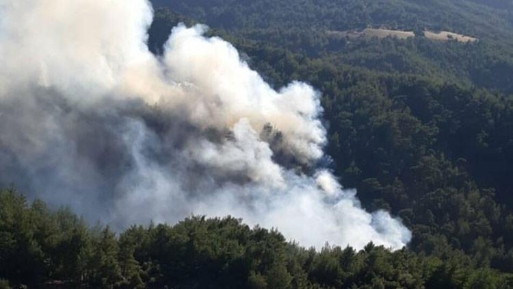 Muğla'da korkutan yangın