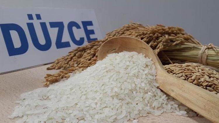 Konuralp pirinci de tescilli lezzetlerimiz arasına girdi