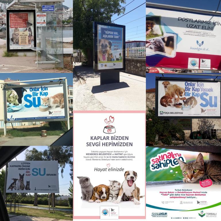 İzmirli belediyelerden sokak hayvanları için seferberlik