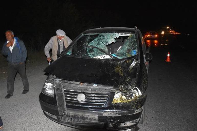Yarış atları trafiği birbirine kattı 3 at telef oldu