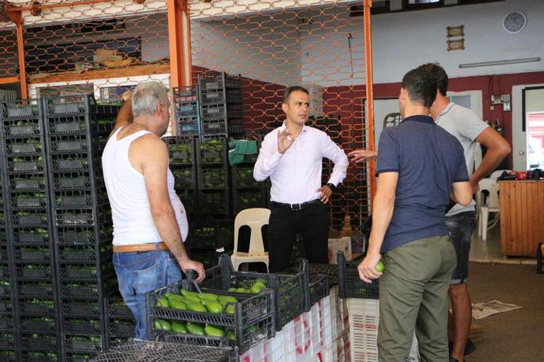 Bu yıl ilk kez... Antalyadan çıkıyor Polonyaya ihraç ediliyor