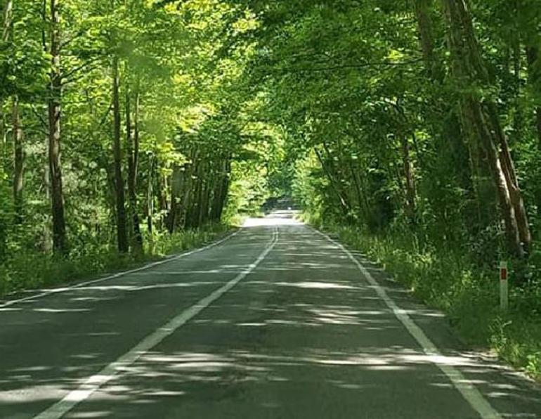 Fotoğraf çekmek isterken canından oldu