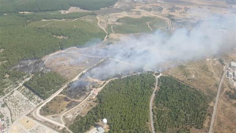 Son dakika... İzmirde ağaçlandırma sahasında yangın