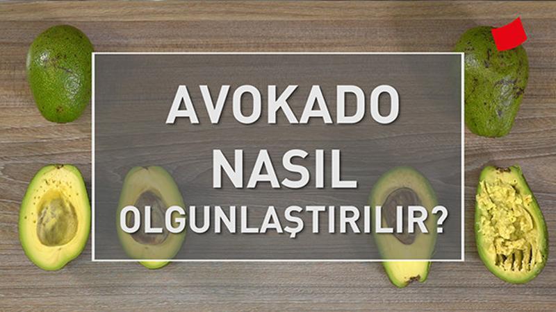 Avokado Nasıl Olgunlaştırılır? | Mucize Lezzetler