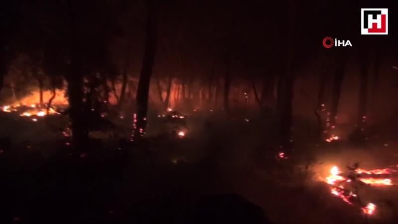 Firefighters battling to contain fire in SW Turkey