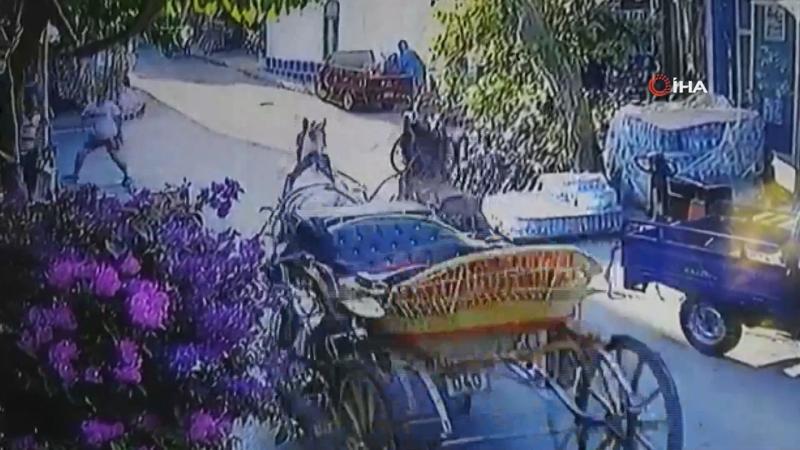 Büyükada’da fayton faciası kamerada