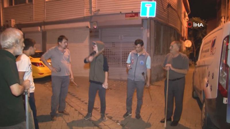 Mahallede 'saldırgan köpek' nöbeti