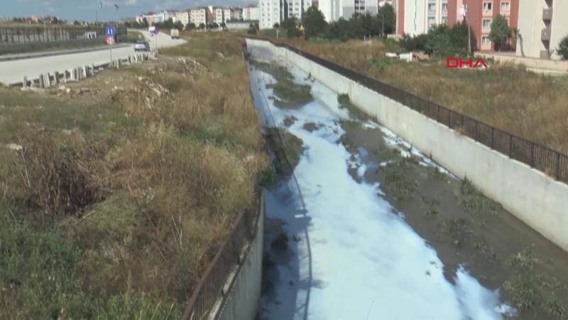 Kavak Deresi'ne kimyasal karıştığı iddiası