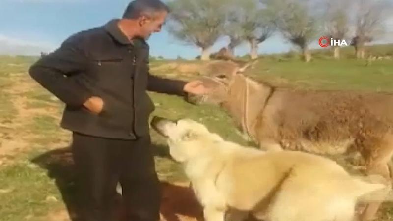 Sosyal medyada izlenme rekorları kıran buluşma