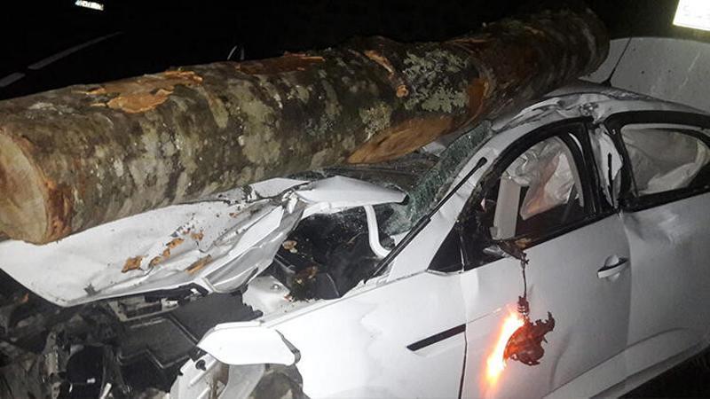 Ordu'da otomobilin üzerine tomruk düştü