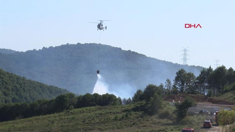Şile'de orman yangını
