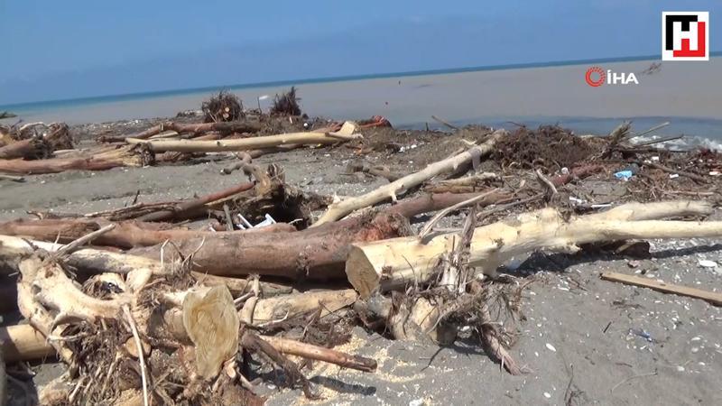 More bodies found after flood hit Düzce in northwest