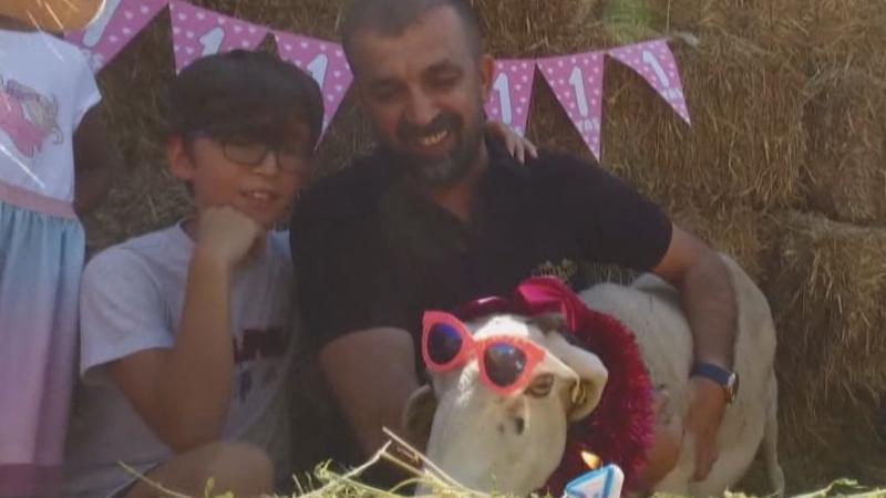 Denize götürdüğü kuzusuna doğum günü yaptı