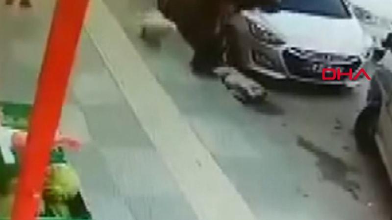 Süs köpeğiyle dalaşan sokak köpeğine tekme attı