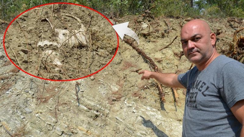 Bigadiç'te yol kenarında çok sayıda kemik ortaya çıktı