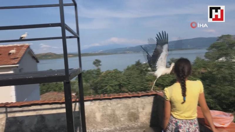 Beyzanur'la leyleklerin dostluğu görenleri şaşırtıyor
