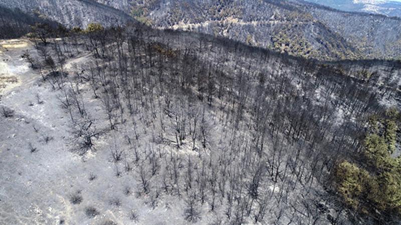 Karabağlar'daki yangından geriye kapkara bir tablo kaldı