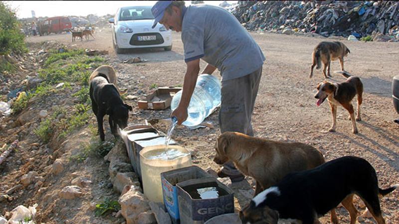 Sokak hayvanları için 11 yıldır su taşıyor