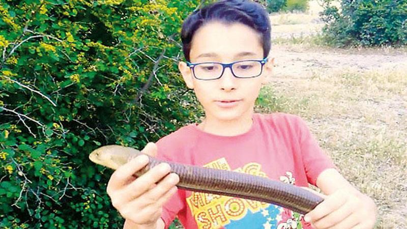 Hayvan videoları çekerek bir günde fenomen oldu