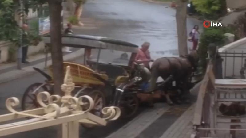 Büyükada’da at bitkin düştü, faytoncu zorla yerden kaldırmaya çalıştı