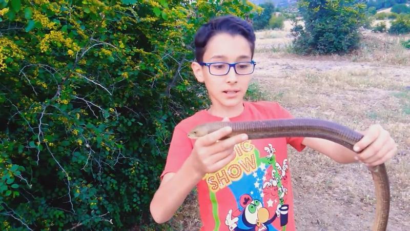 12-year-old boy becomes social phenomenon with animal videos