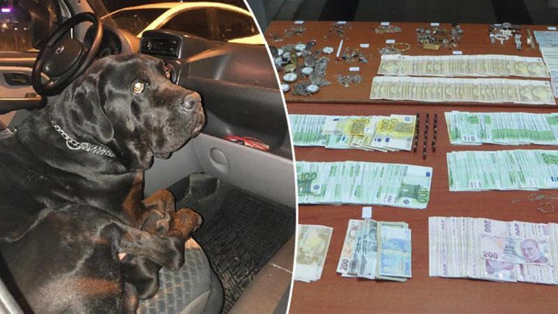 Hırsızlar, köpeklerle korunan villada yakalandı