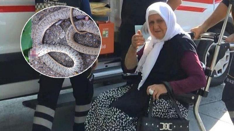Yaşlı kadını çamaşır asarken yılan soktu