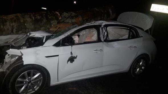 Otomobilin Ã¼zerine tomruk dÃ¼ÅtÃ¼: 3 yaralÄ±
